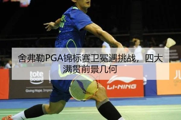 she-fu-lei-jin-biao-sai-wei-mian-yu-tiao-zhan-si-da-man-guan-qian-jing-ji-he-3-588.jpg